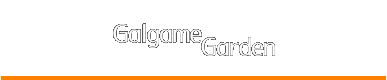 Galgame Garden